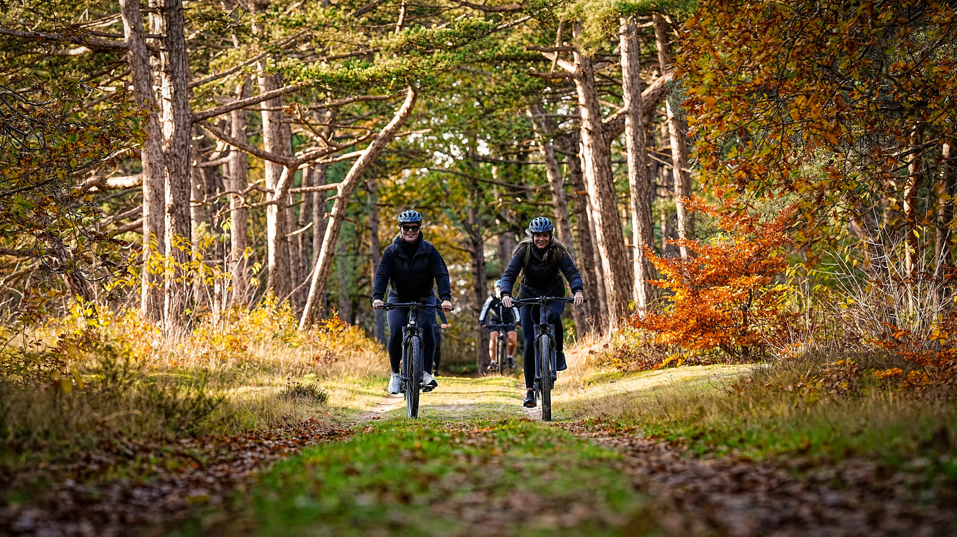 Zwei Mountainbiker auf einem Waldweg in den Dünen von Schoorl im Herbst, dahinter zwei Radfahrer