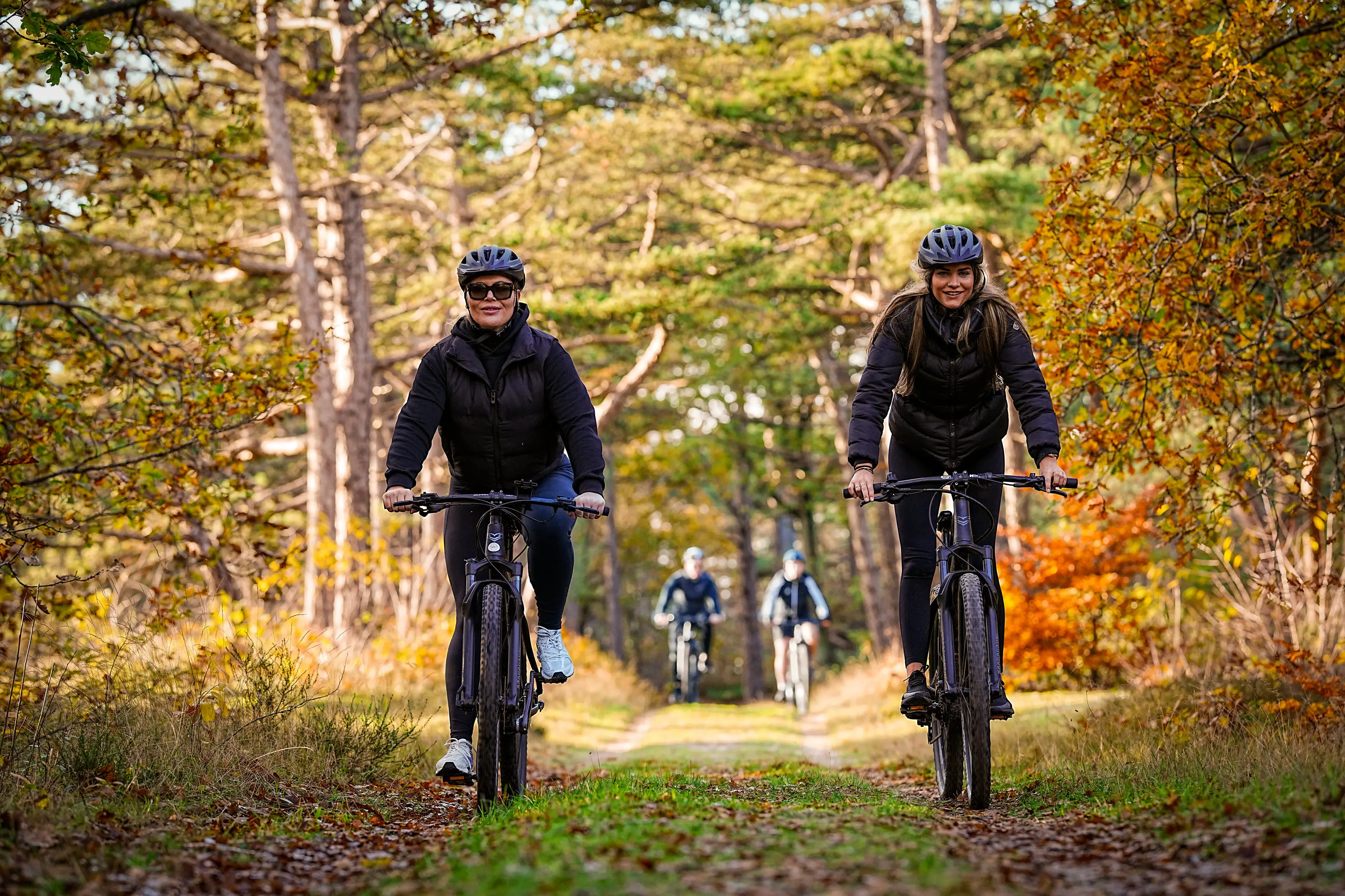 Zwei Mountainbiker auf einem Waldweg im Herbst